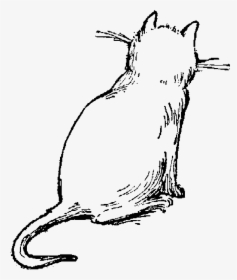 Drawing Cat Illustrations, HD Png Download, Free Download