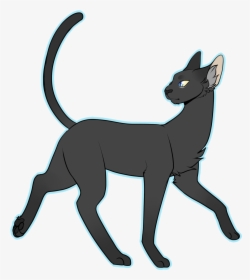Simple Draw All The Cats - Full Body Cat Drawing, HD Png Download, Free Download