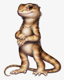 Bearded Dragon Png, Transparent Png, Free Download