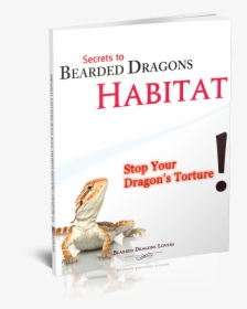 Dragon Lizard, HD Png Download, Free Download