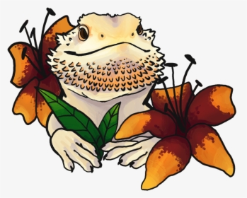 Bearded Dragon Drawing Cute, HD Png Download, Free Download