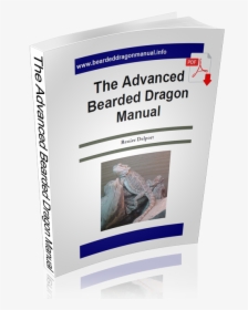 The Advanced Bearded Dragon Manual - Alligator, HD Png Download, Free Download