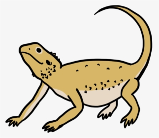 Bearded Dragons , Png Download, Transparent Png, Free Download