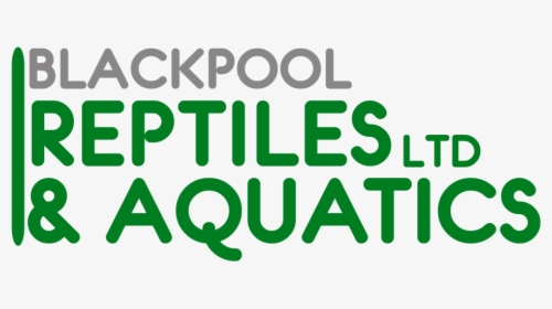 Blackpool Reptiles & Aquatics - Graphic Design, HD Png Download, Free Download