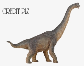 Brachiosaurus Png Transparent Image - Brachiosaurus Dinosaur, Png Download, Free Download