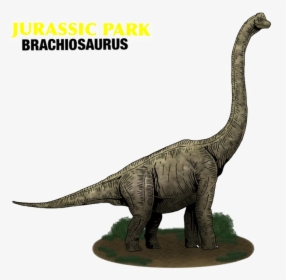 Brachiosaurus Png Photo - Jurassic World Apatosaurus Dinosaur, Transparent Png, Free Download