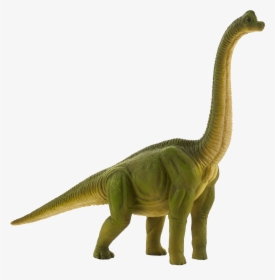 Brachiosaurus Toy , Png Download - Brachiosaurus Toy, Transparent Png, Free Download