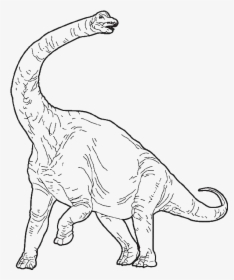 Transparent Brachiosaurus Png - Jurassic Park Brachiosaurus Coloring Page,  Png Download - kindpng