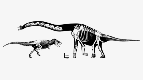 Brachiosaurus , Png Download - Brachiosaurus, Transparent Png, Free Download