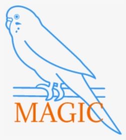 Parakeet Magic Parakeet Magic - Parrot, HD Png Download, Free Download