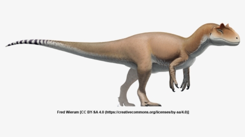 Allosaurus Reconstruction, HD Png Download, Free Download