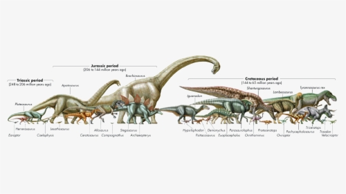 Transparent Brachiosaurus Png - Triassic Jurassic And Cretaceous Dinosaurs, Png Download, Free Download