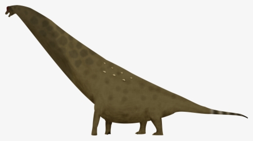 Transparent Brachiosaurus Png - Cryptid, Png Download, Free Download