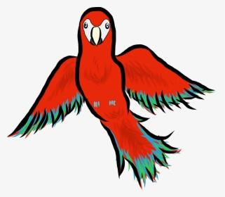 Drawn Parakeet Pop Art - Macaw, HD Png Download, Free Download
