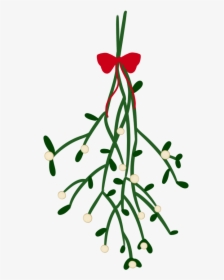 Transparent Mistletoe, HD Png Download, Free Download