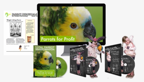 Transparent Parakeet Clipart - Parakeet, HD Png Download, Free Download