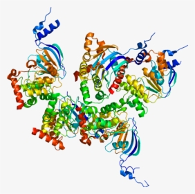 Protein Cftr Pdb 1xmi - Cftr Protein, HD Png Download, Free Download