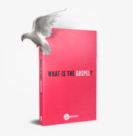 What Is The Gospel - Gull, HD Png Download, Free Download