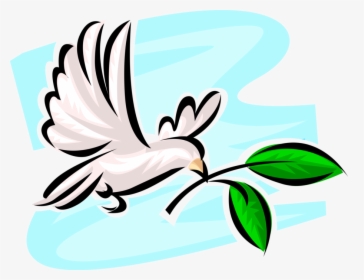 Vector Illustration Of Dove Of Peace Bird Secular Symbol 平和 イラスト 無料 Hd Png Download Kindpng