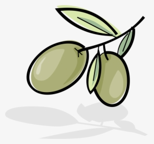 Vector Illustration Of Olives Growing On Plant Branch - Clipart Olives Png, Transparent Png, Free Download
