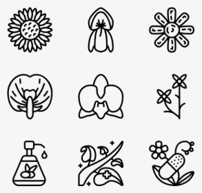 Botanicals - Friendship Icon Transparent Background, HD Png Download, Free Download