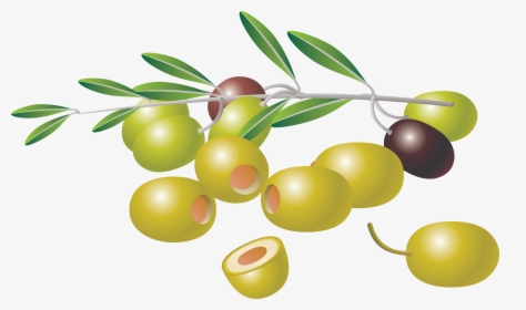 Transparent Olive Png - Clipart Picture Of Olives, Png Download, Free Download