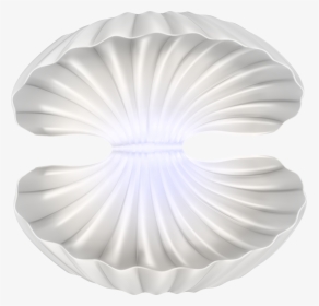 Clam Shell Png - Open Clam Shell Png, Transparent Png, Free Download