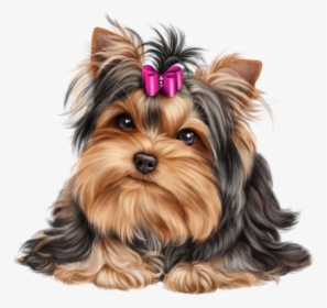 Clipart Puppy Yorkie - Yorkshire Terrier Vector Png, Transparent Png, Free Download