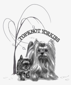 Topknot Yorkshire Terriers Logo - Logo Yorkshire Terrier, HD Png Download, Free Download