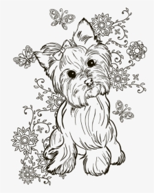 Yorkie Adult Coloring Pages, HD Png Download, Free Download