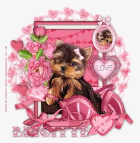 Transparent Yorkie Clipart - Yorkshire Terrier, HD Png Download, Free Download