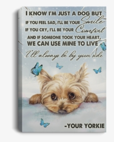 Yorkshire Terrier, HD Png Download, Free Download