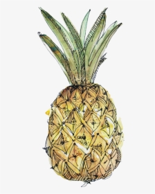 Paper Pineapple Drawing Watercolor Painting Illustration - Pineapple Watercolor With Transparent Background, HD Png Download, Free Download