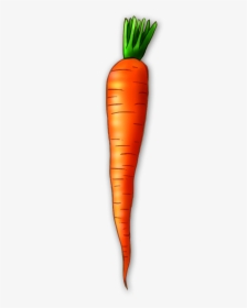 Carrot Clipart Png - Carrot Clipart, Transparent Png, Free Download