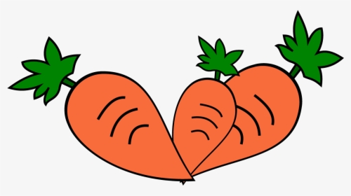 Pictures Of Carrots Clipart Best, HD Png Download, Free Download