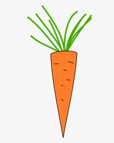 Carrot Clipart Copyright Free, HD Png Download, Free Download