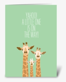 Baby Giraffe Greeting Card - Congratulations Baby On The Way, HD Png Download, Free Download
