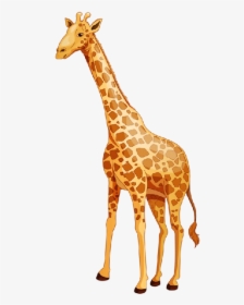 Giraffe Images Clip Art - Baby Giraffe Cartoon Png, Transparent Png, Free Download
