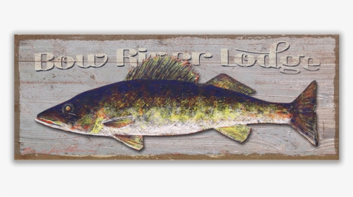 Walleye Fishing Fly Fishing Trout - Trout, HD Png Download, Free Download