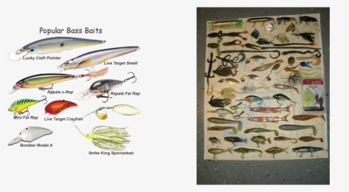 Picture - Largemouth Bass Lures For Summer, HD Png Download, Free Download