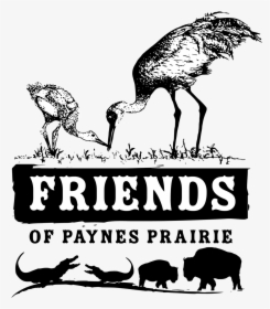 Friends Of Paynes Prairie - Amazing Friends, HD Png Download, Free Download