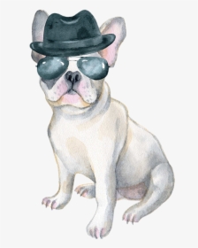 Gangster French Bulldog, HD Png Download, Free Download