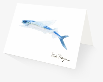 California Flying Fish - Mackerel, HD Png Download, Free Download