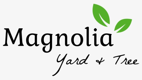 Magnolia Yard & Trees - Calligraphy, HD Png Download, Free Download