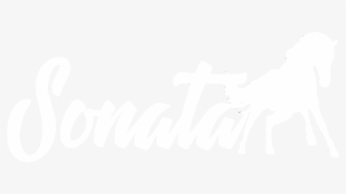 Sonata Logo White - Calligraphy, HD Png Download, Free Download