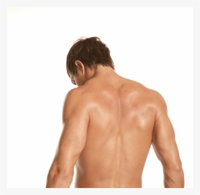 Laser Hair Removal Model - Man Without Shirt Back, HD Png Download, Free Download