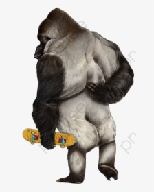 Gorilla Clipart Realistic - Animals Skate, HD Png Download, Free Download