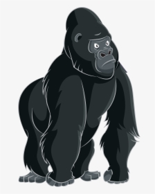 Cartoon Clip Art Png - Gorilla Clipart Png, Transparent Png, Free Download