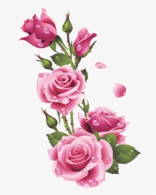 Ruže « Category - Frame Rose Flower Png, Transparent Png, Free Download