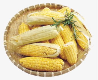Corn Maize On The Cob Field Clipart Transparent Png - Maize, Png Download, Free Download